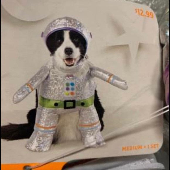 Target Dog Dog Costume Nwt Poshmark